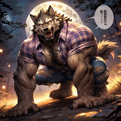 masterpiece,high quality,anime, ultra detailed
, 人wolf, wheat skin, digital, (check shirt:1.3), (torn shirt, torn pants:1.2) , o...