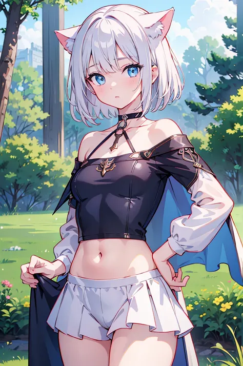 (master piece:1.2), (best Quality:1.2), (ultra detailed:1.2), (highres:1.2), 4k, 8k, from front, cowboy body, look at viewer, girl, beautiful detailed eyes, short hair, White hair, (blue eyes1:1), small breasts, fantasy, medieval, cat ears, expressionless,...