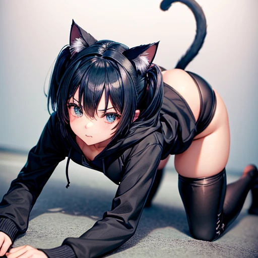 A girl with dark blue hair, cat ears and a tail, wearing a black bikini and racing pants　Loli body type　　Twin tails　Female genitalia is visible　On all fours　Detailed depiction of female genitalia　Flat Chest　Wearing a hoodie