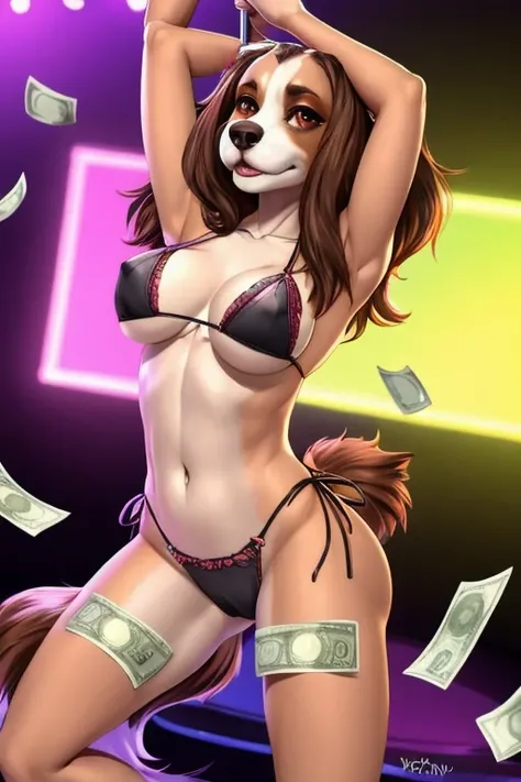  Cocker Spaniel stripper bikini dancing money