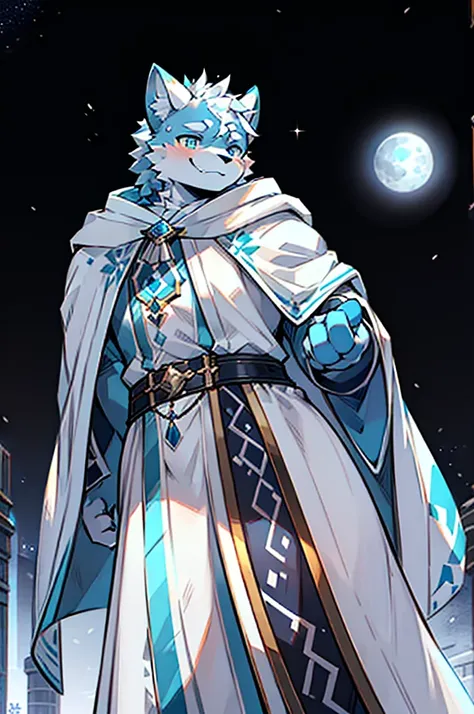 Exquisite lines，best quality。White Wolf Orcs，male，Blue and white robes，Black belt，Silver-white cloak，pupil，Expression smile，Background snow，Bright Moon，Starry Sky