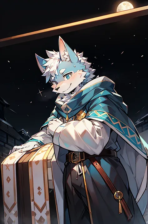 Exquisite lines，best quality。White Wolf Orcs，male，Blue and white robes，Black belt，Silver-white cloak，pupil，Expression smile，Background snow，Bright Moon，Starry Sky