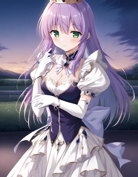 one girl,
outdoor,
cowboy shot,
twilight,
break yoakena, finafam earth light, green eyes, long hair, purple hair,
dress, gloves,...