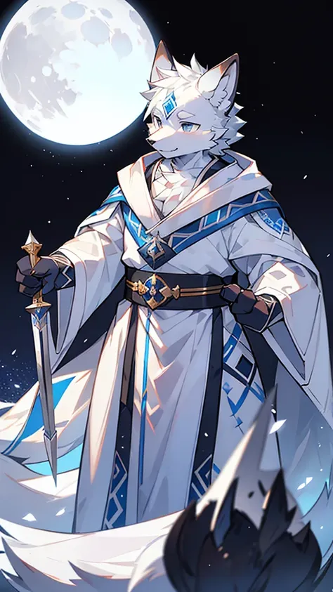 Exquisite lines，best quality。White Wolf Orcs，male，Blue and white robes，Black belt，Silver-white cloak，pupil，Background snow，Bright Moon，Starry Sky，Silver sword