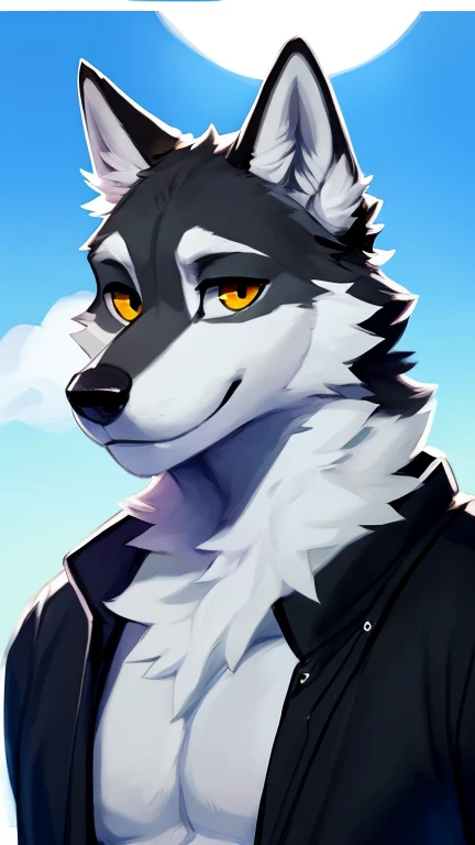 ((danny a anthropomorphic black, grey, and white male wolf with summer clothing  )) , looking at viewer,a little to the side, fu...