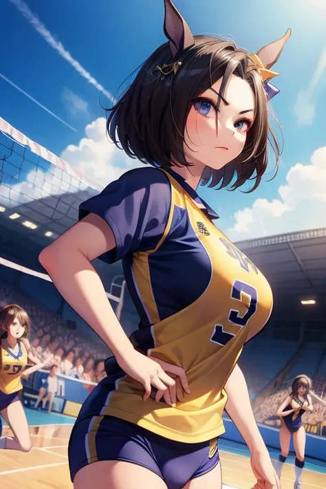 air groove (umamusume), volleyball, multiple girls, sportswear, big tits, stadium