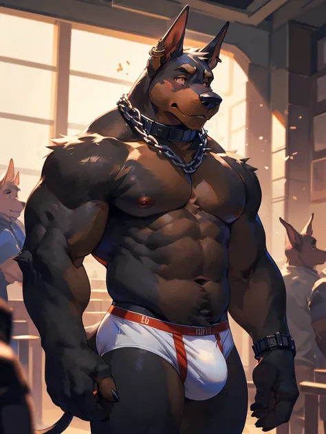 Solo, male (((dobermann, muscular, black fur, black body, black fur, black nose, brown eyes, nipples, big chest, flustered expression, blush, ear piercing, ear ring, chain collar, underwear, white underwear, bulge))) standing, 5 fingers ((focus eyes, focus...