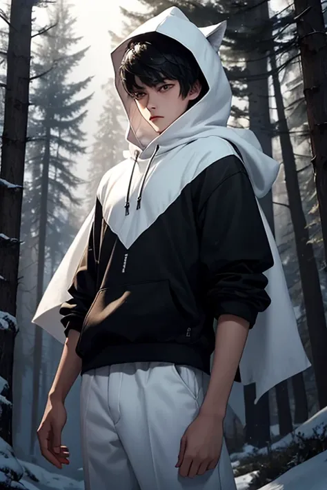 16 year old boy.short black hair.white eyes.with a hood.with a white wolf.in a forest.at night