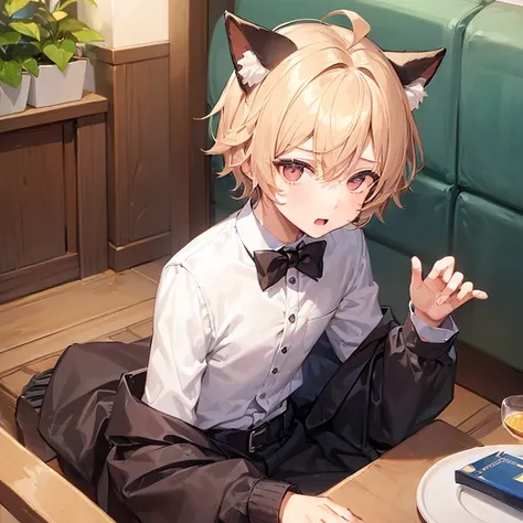 (((Boy with cat ears))), 8k, ((best quality)), 10 yease old, very cute