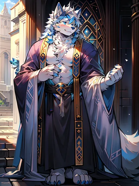 only，Hairy Male，Hairy chest，prairie wolf，canine，Blue and white fur，Long white hair，The ends of the hair are purple，Bright blue eyes，Being bullied，charming，Handsome，Big Tail，Full body male love，High Priest，Wearing a robe