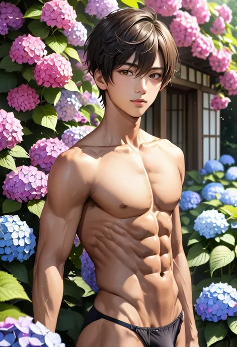 (best quality), realistic, hydrangea, garden, (16 year old Japanese idol boy),  (abs:1.3), black short hair, tanned dark skin,  (detailed brown eyes), (smile:0.8), (black tiny thong), (bulge), --no shirt,