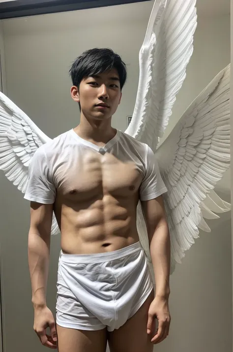 A young asian man with short dark hair wearing a white shirt and having large white angel wings behind him