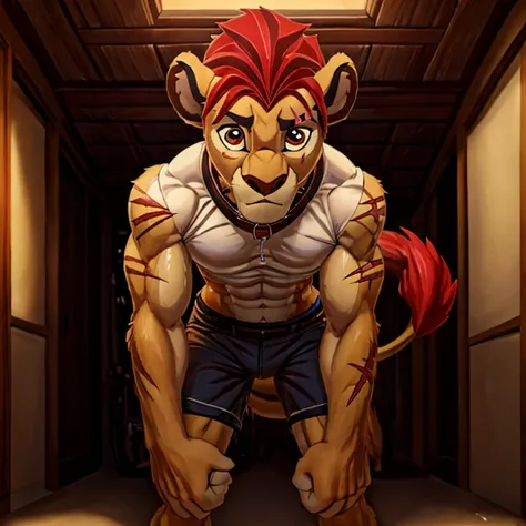 slim white shirt , struggling to pull on my white shorts. тесная Apparel,шортыmasterpiece, detailed, beautiful digital art, masterpiece, 4K, small parts, Anthro, a lion, What, male, ((male род)), good quality anatomy, ((beautiful eyes)), Red Mane, ((beauti...