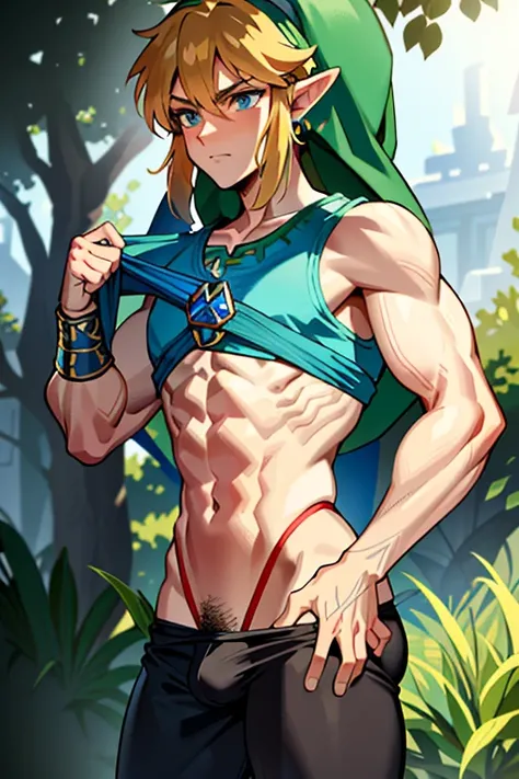 ((Link (The Legend of Zelda),)),Muscular , Macho , bodybuilder , squat, Open the crotch from side to side, My groin is completely healed. , Lower body naked , Crotch is visible