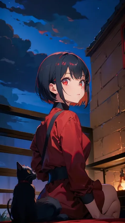 girl with short bob hair,Red eyes ,Sitting,A distant view,Looking up at the sky,Black cat by my side,View from behind,Stroking a black cat on her lap,high school girl,Wearing a red dress