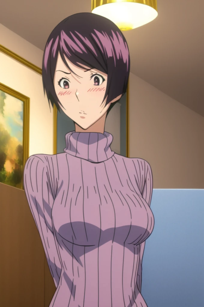 (best quality:1.3),  (masterpiece:1.3)   1girl, iwaseaiko,blush, turtleneck, sweater,