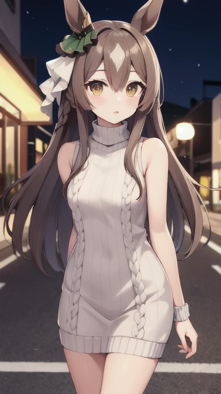 masterpiece, best quality, highres, aasato, long hair, half updo, braid, hair between eyes, animal ears, ear ornament, sweater dress, turtleneck, sleeveless, night, street, cowboy shot,