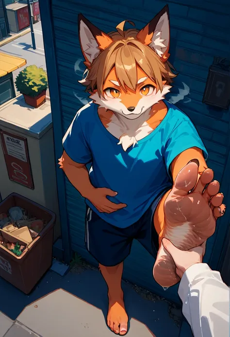 score_9,score_8_up,score_7_up,score_6_up,score_5_up,source_anime,source_furry, hadrian,from above,fisheye, standing and show foot, standing and show sole,standing on one leg,foot focus,sole,barefoot,no shoes,  furry male, fox boy,paw_sloe,sharp_toenails, p...