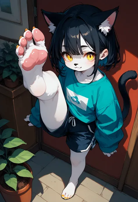 score_9,score_8_up,score_7_up,score_6_up,score_5_up,source_anime,source_furry, hadrian,from above,fisheye,standing and show foot,shanding and show sole,standing on one leg,foot focus,sole,barefoot,no shoes,  furry female, cat girl, black fur, yellow eyes, ...