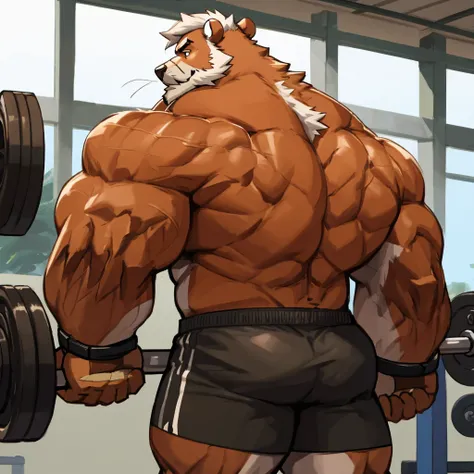 solo, 1boy, Huge Muscular Old Grizzly Bear wearing glasses , pectoral, huge pectoral, wide pectoral, short white hair, short pants black wristbands and shirtless topless, bearded, Mustache, gym background, backside, 
masterpiece, high detailed, 8k, high re...