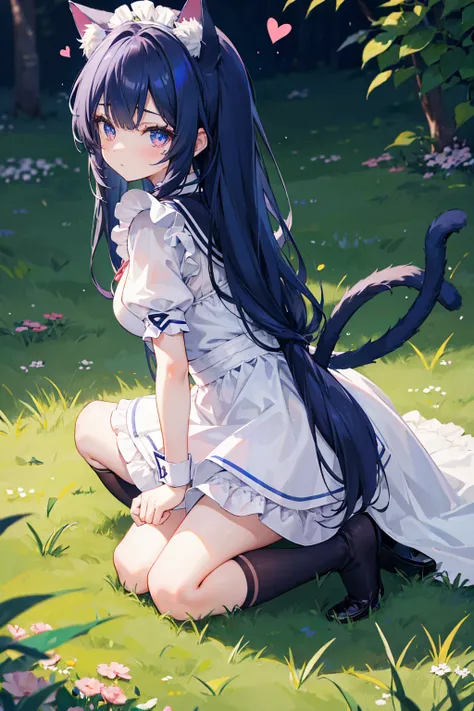 Girl，Cat ear，Tail，Blue long hair，Kneeling，Lean forward，shy，Heart-shaped pupil，Grass background，Maid costume，masterpiece，Ultra-clear，8K，Ultra Detail