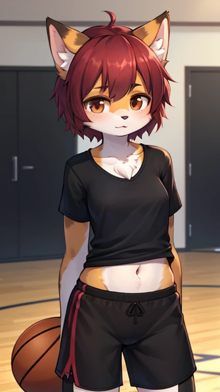 best quality, best resolution, (fluffy anthro furry), calico cat girl, maroon hair, short wavy hair, brown eyes, [[make the fur surrounding her right eye brown]], medium breast, tomboy manner, (black t shirt, dark blue basketball shorts), standing,  gym