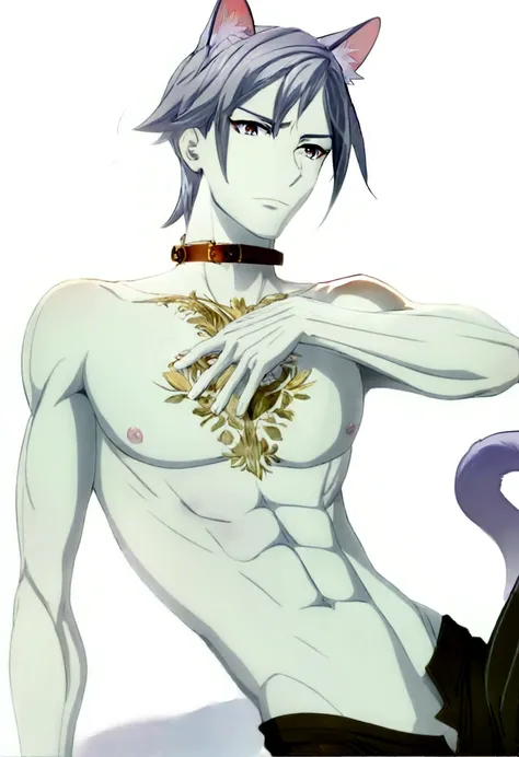 Anime guy have penis in the pants , nsfw, cum, sixpack,anime guy with a cat ears and a collar on his chest, tall anime guy with blue eyes, handsome japanese demon boy, skinny male fantasy alchemist, handsome anime pose, male anime character, hajime yatate,...