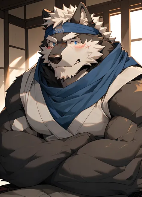 (masterpiece)，(Very detailed)，(best quality)，hairy，Wolf，Dark black fur，white hair，Gray pupil，Muscular，(Japan samurai attire)，((blue scarf))，((Brown headband))，(blush:1.1)，Handsome expression，Room Background，8K，(high quality)，(Ultra high quality)，(Super det...