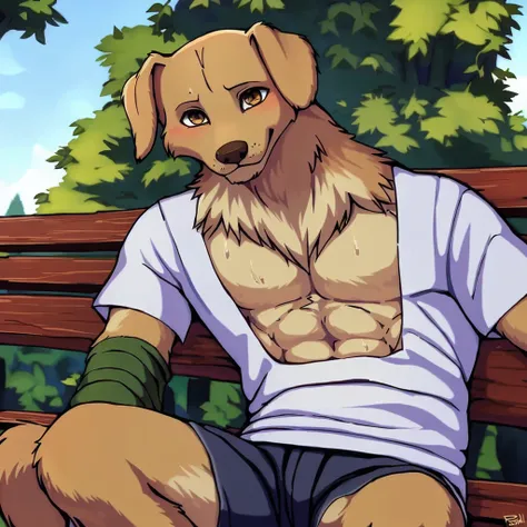 dog anthro, male dog anthro, high detail, lose shorts and tshirt, sitting on park bench, looking at viewer, photography, fit, so...