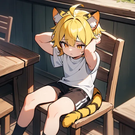 （masterpiece：1.2，high quality），8K，High resolution，A 7 year old boy，cute boy，yellow hair，short hair，orange eyes，slit pupils， ahoge，cat ears，expressionless eyes，tears，Wear a white short-sleeved T-shirt，Black sports shorts，sit on the chair，Sit in the pavilion...