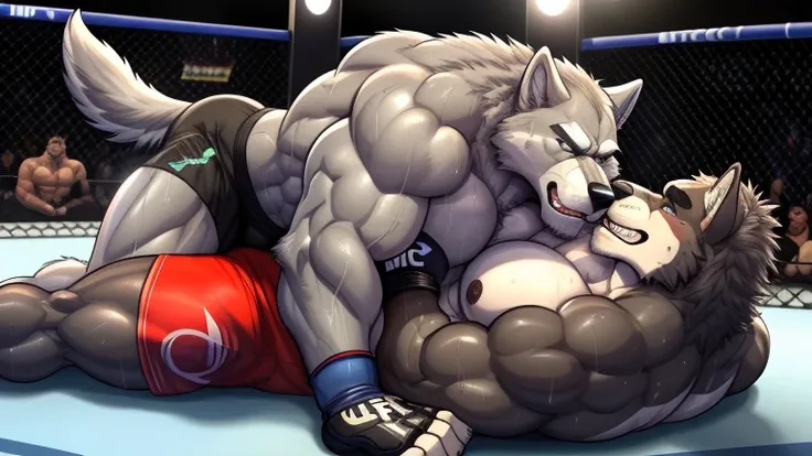 Duo male(Gray Wolf vs Gray Wolf, handsomes, Thick eyebrows), gay(Lying down, body on back, cuddling embraced from behind, Body frottage, face to face, on a UFC match), hot(Shirtless), handsomes(They are handsomes, correct anatomy), musculosos(Big muscle bo...