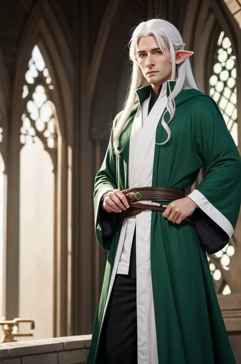 one  men, half elf, archerqueen, with white hair and black tips, green eyes with green robes