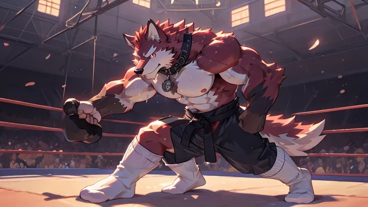 best quality, diederich olsen (/knights college/), wolf, kemono, nj5furry, red fur, red eyes, medium muscular body, solo, fighti...