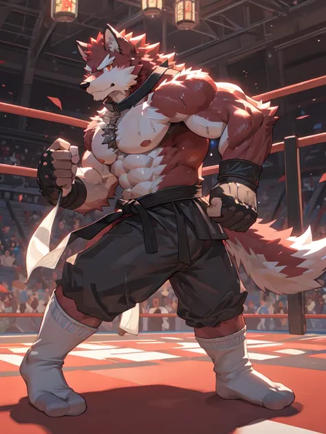 Best quality, diederich olsen (/knights college/), wolf, kemono, nj5furry, Red Fur, Red eyes, Medium Muscular Body, Solo, fighting Pose, (white socks:1.5), Collar, topless, trunk, Sweat, Fierce eyes, Smille, Martial Arts, Competition Ring