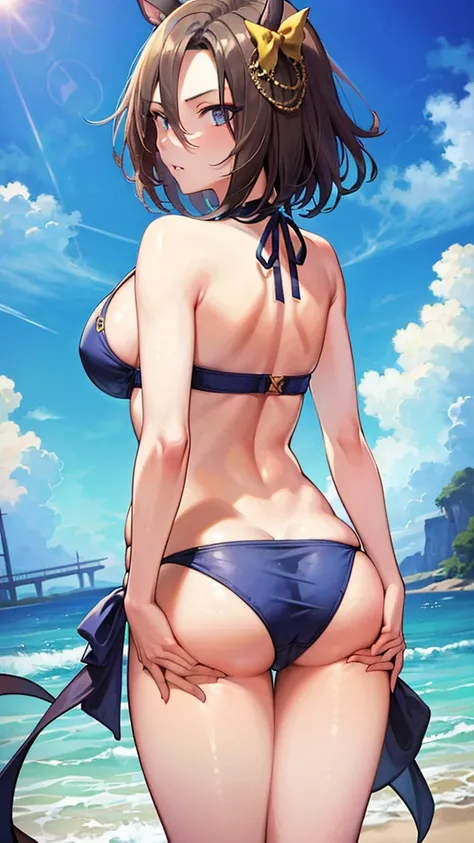 (((masterpiece))),(((High resolution)))、(((perfect face)))、(((Air Groove))), ((bikini)), ((top quality eyes)), ((high resolution face)), detailed face, (detailed texture), (plump), (big tits), ((back)), ((ass))
