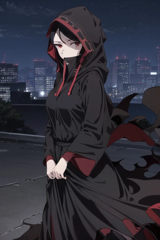 NNAssassinFSF, 1girl, solo, median breasts, black hair, red eyes, long sleeves, dress, hood, long skirt, black dress, cape, black cloak, hood up, black robe, covered mouth, hooded cloak, ((masterpiece,best quality)) city, night