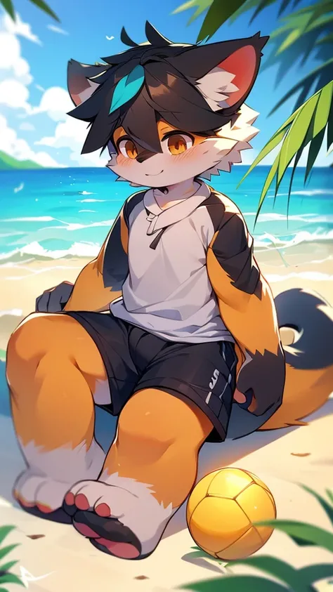 author：jrjresq, author：Kirito, mammal, furry, male, Alone,Beach Soccer,femboy,NSFW