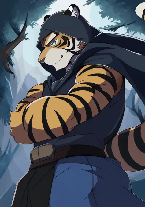 tiger，assassin，Black cape，Cold silence，the strong，Black mist filled，Plush body，Fluffy tail