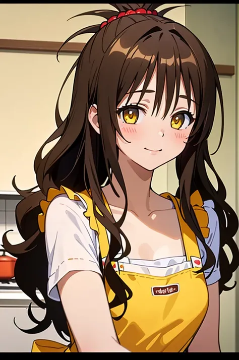 (best quality:1.1), (masterpiece:1.4), (absurdres:1.0), portrait, close up,
1girl, yuuki mikan, brown hair, yellow eyes, hair ornaments, long hair, topknot, wavy hair, small breasts, apron, looking at viewer, kitchen, indoors, happy,
