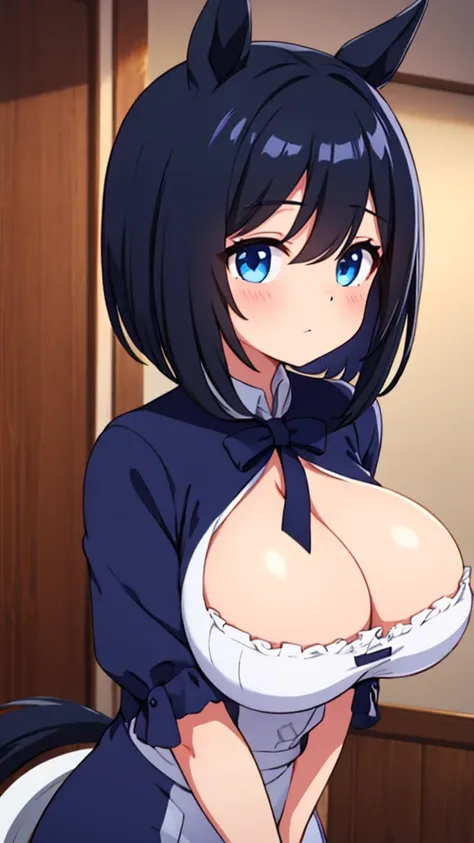 eishin flash(umamusume),big breasts ,Private Server