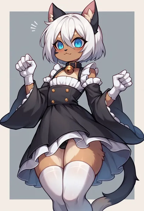 work of art, perfect, highy detailed, (small hibryd anthro cat femboy), pele black fofa, ((blue colored eyes)), ((1))fluffy cat tail, short white hair, tiny chest, (black cat ears), Wearing a BLACK collar, very short maid dress, White silk gloves, silk whi...