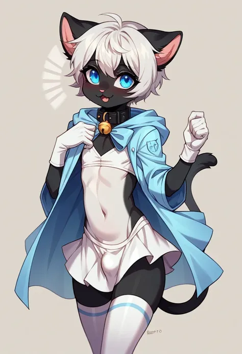 work of art, perfect, highy detailed, (mic hibryd anthro gato femboy), fluffy black fur, ((blue colored eyes)), ((1))rabo de gato fluffly, short white hair, tiny chest, (CUTE CAT Ears), Wearing a collar, pelos pretos nas coxas e virilha fluffly, White silk...