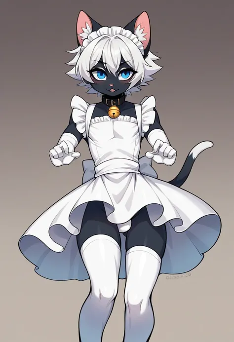 work of art, perfect, highy detailed, (small hibryd anthro cat femboy), fluffy black fur, ((blue colored eyes)), ((1))rabo de gato fluffly, short white hair, tiny chest, (CUTE CAT Ears), Wearing a collar, pelos pretos nas coxas e virilha fluffly, White sil...