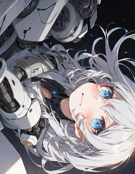 The white-haired girl cried sadly, Mechanical joints