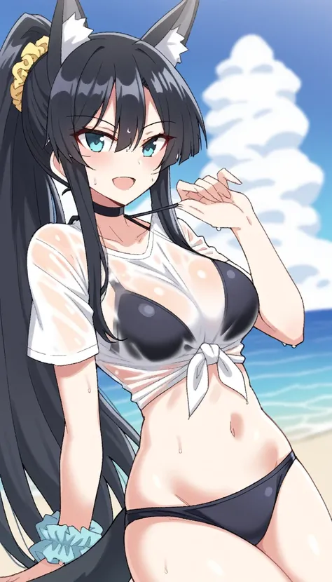 kagayaki no yokan sama the water goddess kagami, 1girl, solo, animal ears, swimsuit, tail, smile, day, bikini, outdoors, shirt, open mouth, navel, looking at viewer, wet, sky, ponytail, water, breasts, choker, see-through, black hair, blue sky, black bikin...