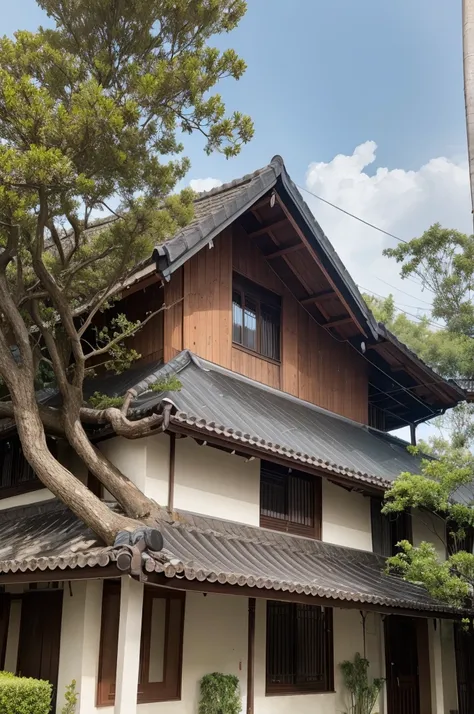 House with raining gutter with tree behind 