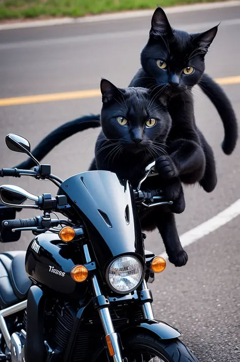 A black cat riding a motorcycle 