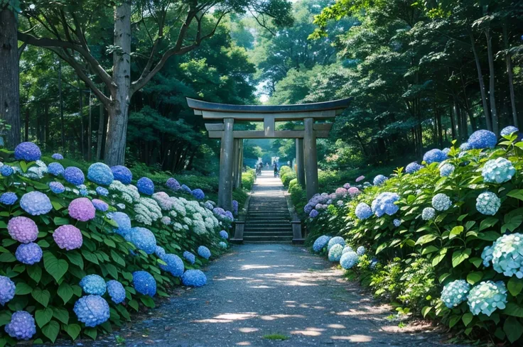 torii, hydrangea, forest