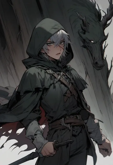 young man ,Male Dark, dark Woods,Red & Black colors, gray eye, rogue dnd, wear cape, hood, have scar