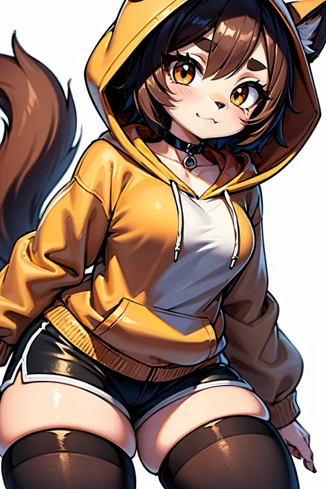 typh mimi, dog girl, latte color fur, short hair, choker, black sweatshirt, 2d, dolphin_shorts, hoodie, down hood, thighhighs, hood down, choker, 1girl, black choker, solo, shorts, brown hair, black hoodie, thick thighs, drawstring, brown eyes, eye liner, ...